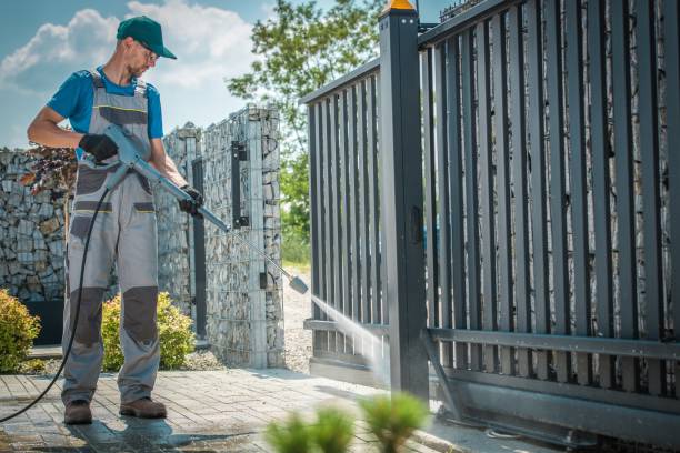 Animal Enclosure Cleaning in Ogdensburg, NY
