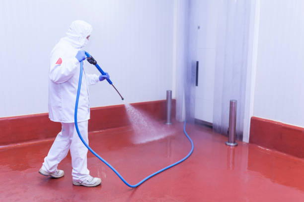 Best Factory Floor Cleaning  in Ogdensburg, NY